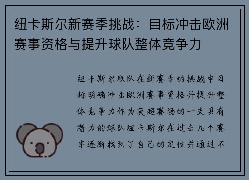 纽卡斯尔新赛季挑战：目标冲击欧洲赛事资格与提升球队整体竞争力